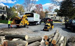 Best Arborist Consultation Services  in Dekal, IL